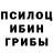 Псилоцибиновые грибы Psilocybe SITUATION_ BRO