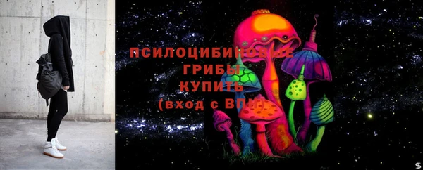 ГАЛЛЮЦИНОГЕННЫЕ ГРИБЫ Балахна