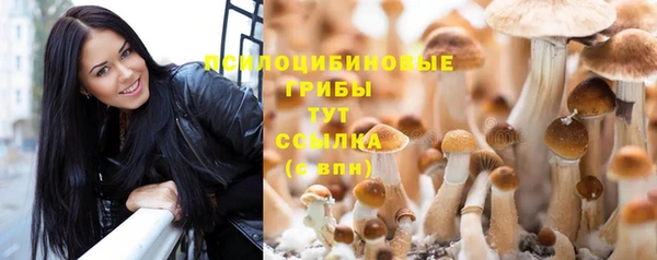 дживик Баксан