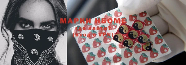 ГАЛЛЮЦИНОГЕННЫЕ ГРИБЫ Балахна