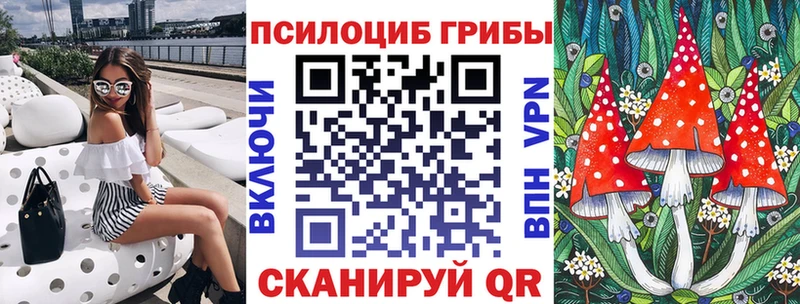 купить   Печора  Псилоцибиновые грибы MAGIC MUSHROOMS 